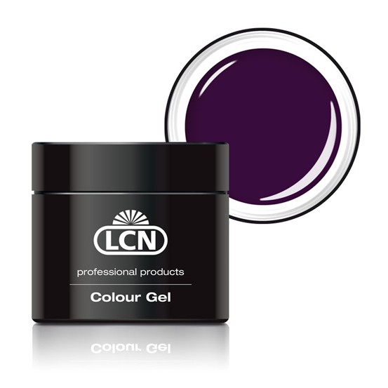 Colour gel 20605 495 dark plum